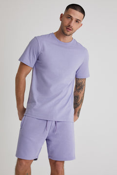 ASTON crew neck t-shirt in AMETHYST - DML Jeans 