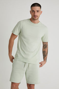 ASTON crew neck t-shirt in ARTICHOKE - DML Jeans 